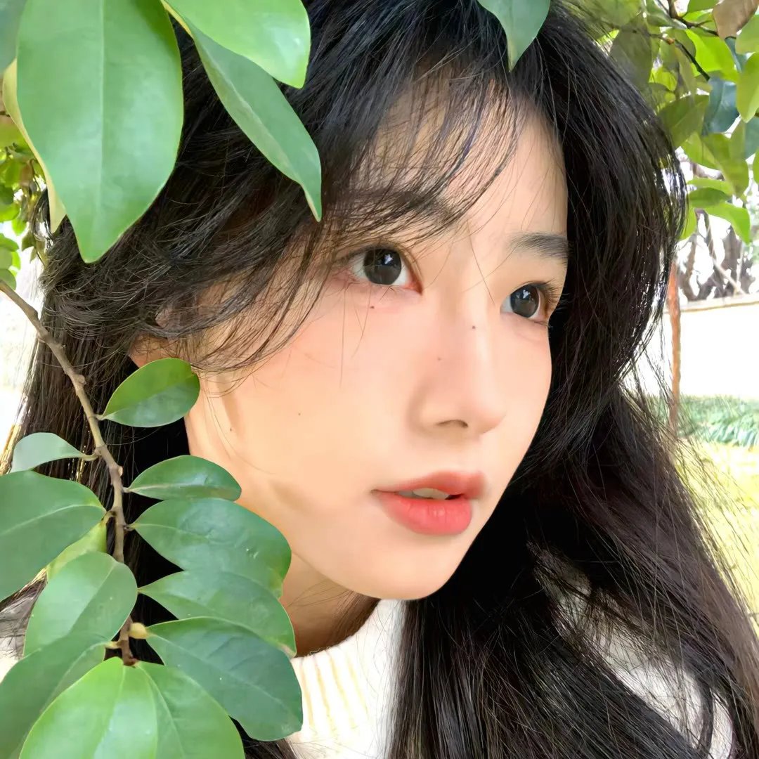 珀利克珊妮
