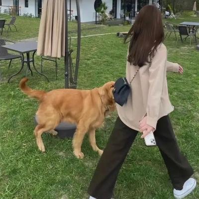 炽热豪情